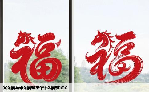 父亲属马母亲属蛇生个什么属相宝宝