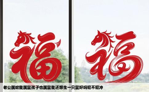 老公属蛇我属鼠孩子也属鼠我还想生一只鼠好吗犯不犯冲