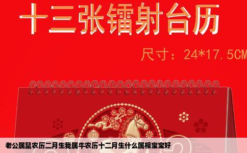 老公属鼠农历二月生我属牛农历十二月生什么属相宝宝好