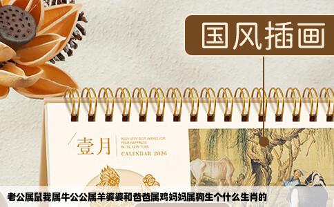 老公属鼠我属牛公公属羊婆婆和爸爸属鸡妈妈属狗生个什么生肖的