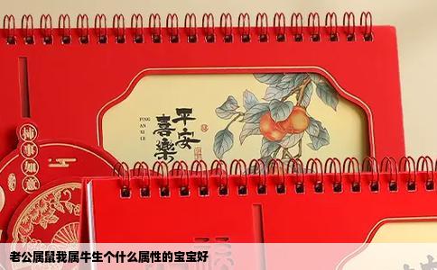 老公属鼠我属牛生个什么属性的宝宝好