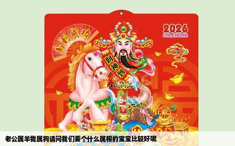 老公属羊我属狗请问我们要个什么属相的宝宝比较好呢