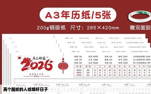 两个属蛇的人结婚好日子