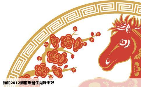 妈的2012到底老鼠生肖好不好