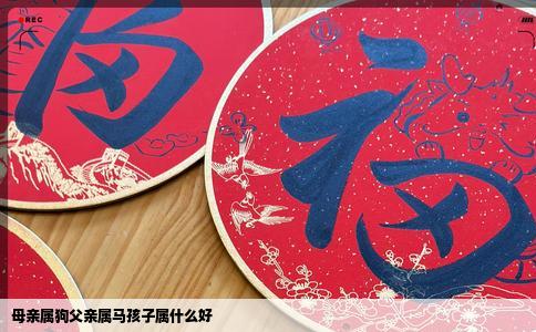 母亲属狗父亲属马孩子属什么好