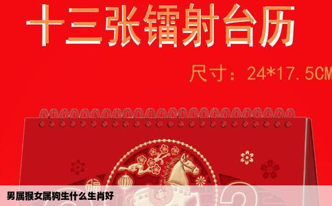 男属猴女属狗生什么生肖好