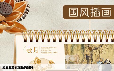 男属龙和女属兔的配吗