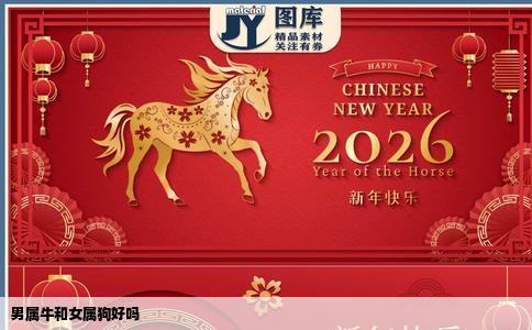 男属牛和女属狗好吗