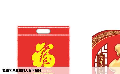 能给今年属蛇的人算下命吗