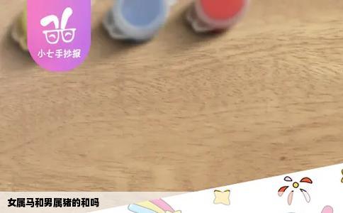 女属马和男属猪的和吗