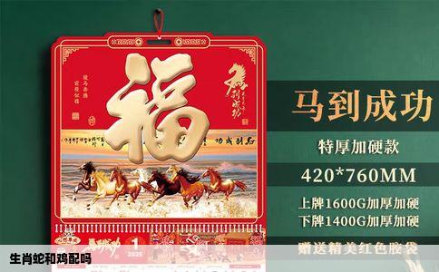 生肖蛇和鸡配吗