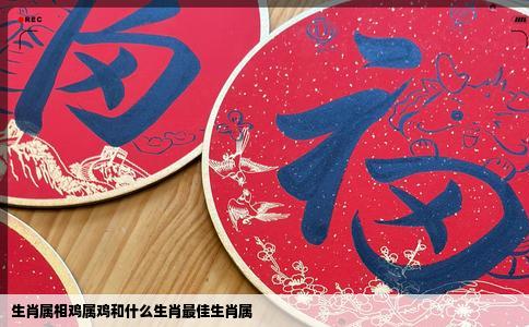 生肖属相鸡属鸡和什么生肖最佳生肖属