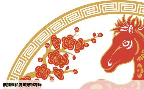 属狗婆和属鸡媳相冲吗