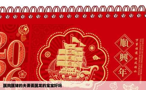 属狗属猪的夫妻要属龙的宝宝好吗