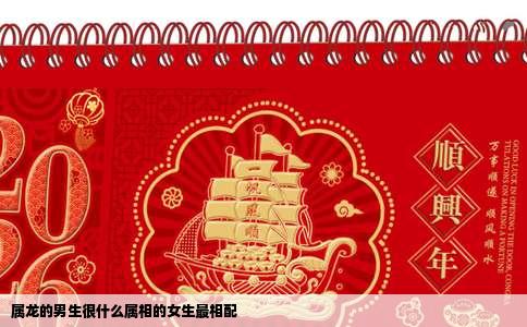 属龙的男生很什么属相的女生最相配