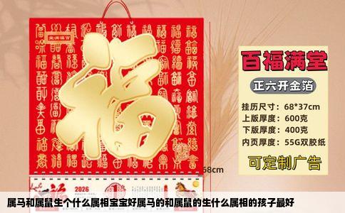 属马和属鼠生个什么属相宝宝好属马的和属鼠的生什么属相的孩子最好