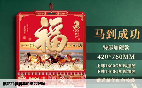 属蛇的和属羊的结合好吗