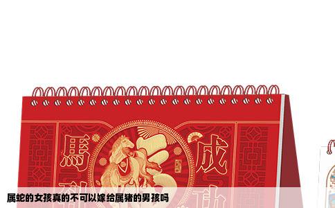 属蛇的女孩真的不可以嫁给属猪的男孩吗