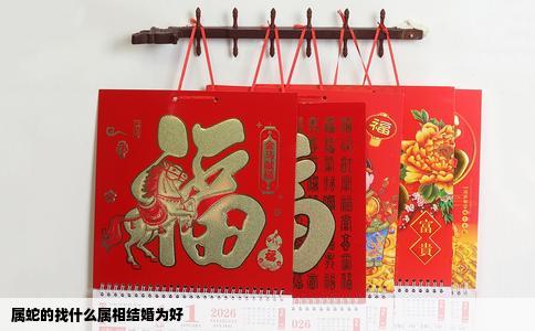 属蛇的找什么属相结婚为好