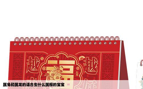 属兔和属龙的适合生什么属相的宝宝