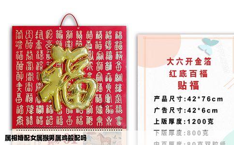 属相婚配女属猴男属鸡般配吗