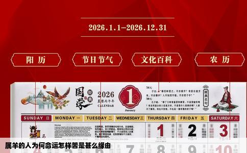 属羊的人为何命运怎样苦是甚么缘由