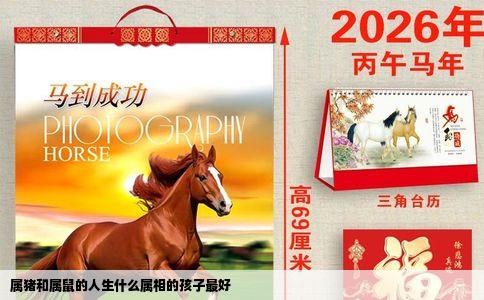 属猪和属鼠的人生什么属相的孩子最好