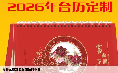 为什么属龙的跟属兔的不合