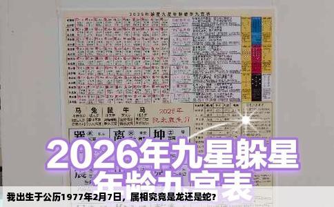 我出生于公历1977年2月7日，属相究竟是龙还是蛇？