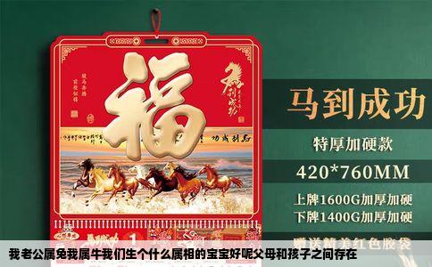 我老公属兔我属牛我们生个什么属相的宝宝好呢父母和孩子之间存在