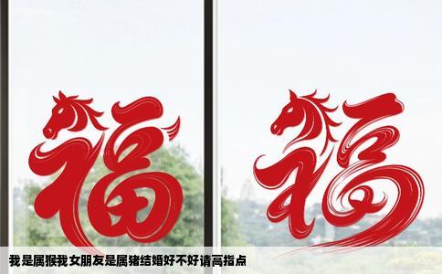 我是属猴我女朋友是属猪结婚好不好请高指点