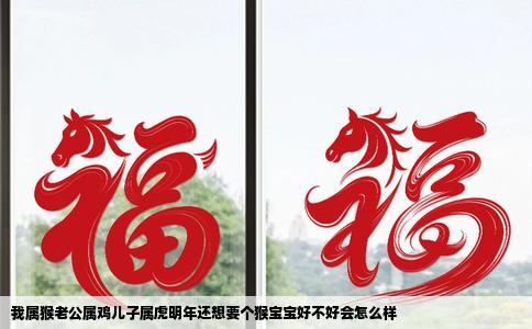 我属猴老公属鸡儿子属虎明年还想要个猴宝宝好不好会怎么样