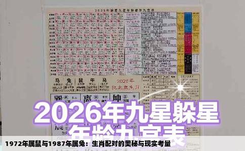 1972年属鼠与1987年属兔：生肖配对的奥秘与现实考量