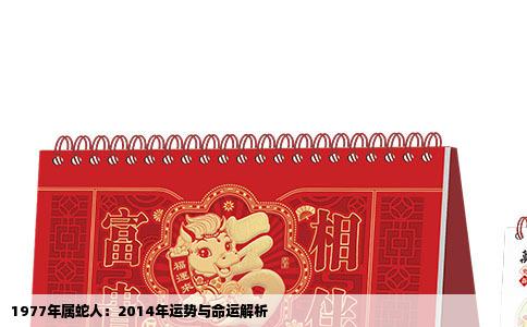 1977年属蛇人：2014年运势与命运解析