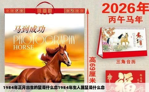 1984年正月出生的鼠是什么命1984年生人属鼠是什么命
