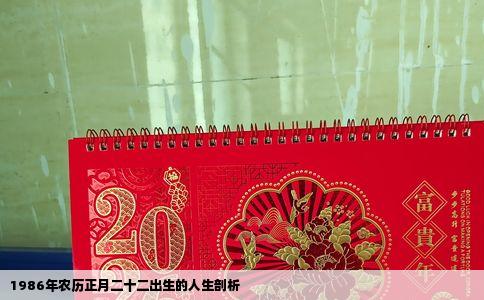 1986年农历正月二十二出生的人生剖析