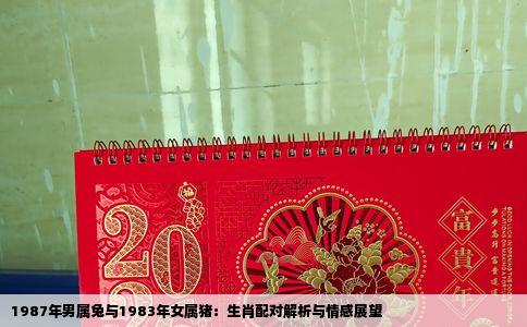 1987年男属兔与1983年女属猪：生肖配对解析与情感展望