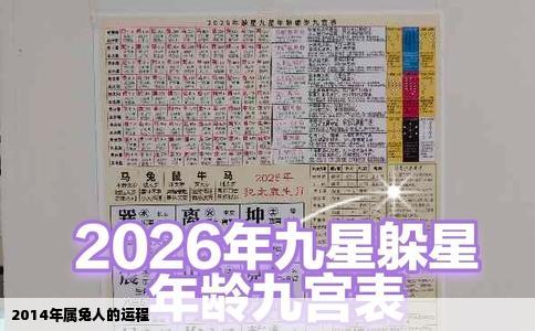 2014年属兔人的运程