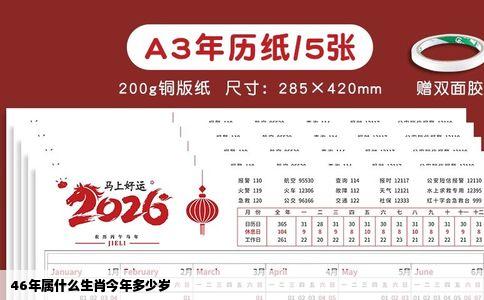 46年属什么生肖今年多少岁