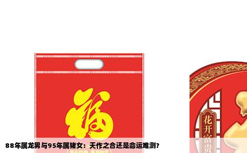 88年属龙男与95年属猪女：天作之合还是命运难测？