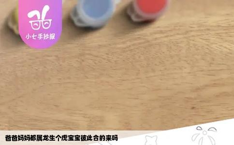 爸爸妈妈都属龙生个虎宝宝彼此合的来吗