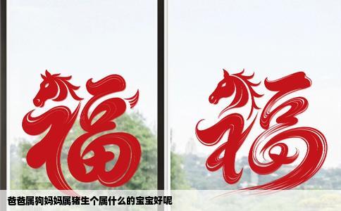 爸爸属狗妈妈属猪生个属什么的宝宝好呢