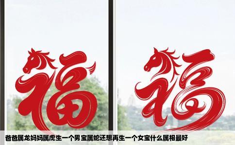 爸爸属龙妈妈属虎生一个男宝属蛇还想再生一个女宝什么属相最好