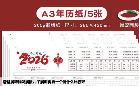 爸爸属猪妈妈属鼠儿子属虎再要一个属什么比较好