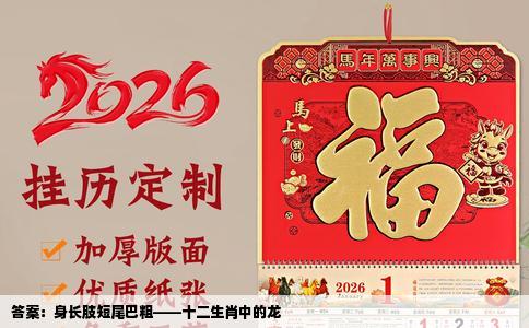 答案：身长肢短尾巴粗——十二生肖中的龙