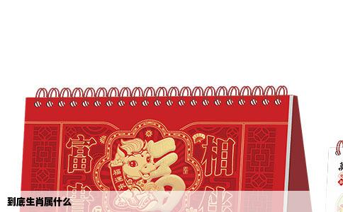到底生肖属什么