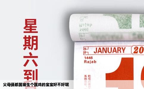 父母俩都属猪生个属鸡的宝宝好不好呢