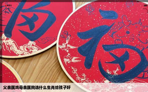 父亲属鸡母亲属狗选什么生肖给孩子好