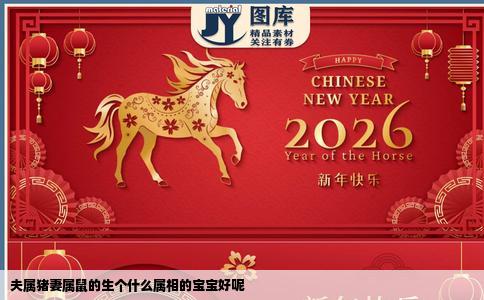 夫属猪妻属鼠的生个什么属相的宝宝好呢