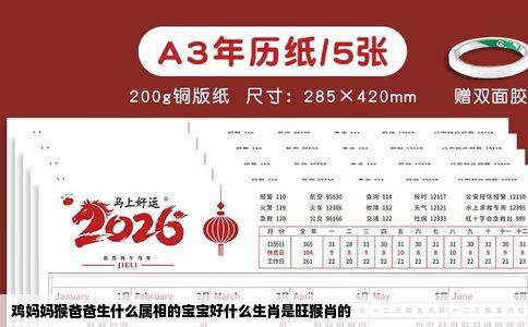 鸡妈妈猴爸爸生什么属相的宝宝好什么生肖是旺猴肖的